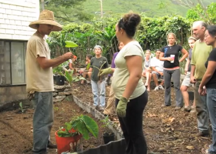 Permablitz Hawaii Building Local Food Capacity One Backyard At A Time